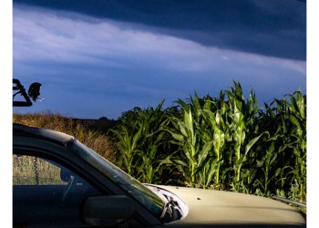 Amio - ΠΡΟΒΟΛΕΑΣ ΕΡΓΑΣΙΑΣ WORKING LAMP 40LED 120W 9-36V 3200lm 6000K 170x74x63mm AWL19 - 1 τεμ. (02433/AM)