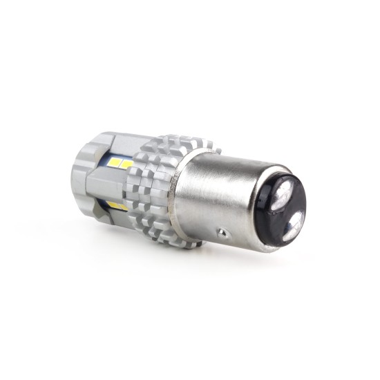 Amio - P21/5W BAY15d 12/24V 22 LED SMD ULTRABRIGHT 3020 CANBUS ΛΕΥΚΟ 2ΤΕΜ. (02450/AM)
