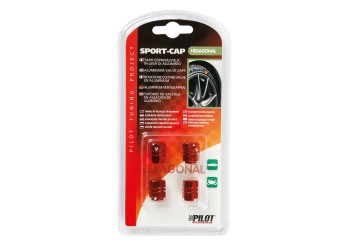 ΚΑΠΑΚΙΑ ΒΑΛΒΙΔΩΝ (Κόκκινο)