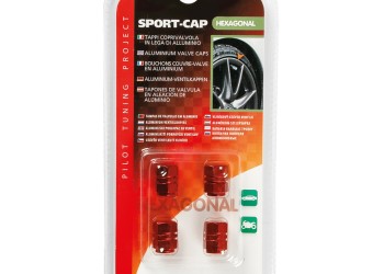 ΚΑΠΑΚΙΑ ΒΑΛΒΙΔΩΝ (Κόκκινο)