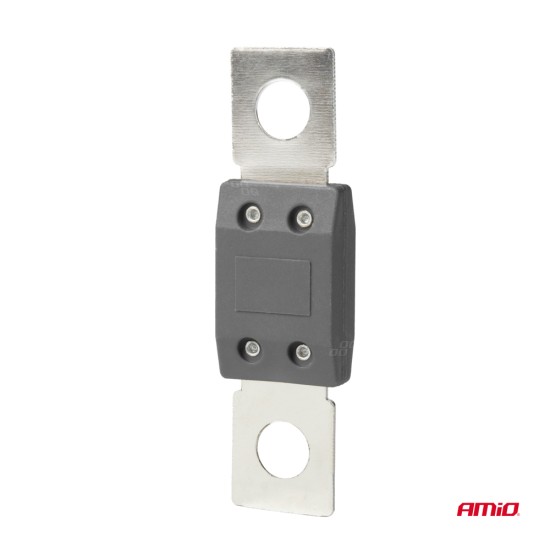 Amio - ΑΣΦΑΛΕΙΕΣ MEGAVAL 300A - 2 Τεμ. (03470/AM)