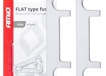 Amio - ΑΣΦΑΛΕΙΕΣ FLAT 41mm 100A - 2 Τεμ. (03494/AM)