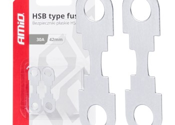 Amio - ΑΣΦΑΛΕΙΕΣ FLAT 42mm 30A - 2 Τεμ. (03497/AM)