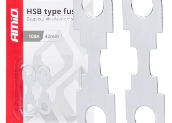 Amio - ΑΣΦΑΛΕΙΕΣ FLAT 42mm 100A - 2 Τεμ. (03502/AM)