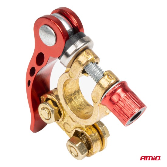 Amio - ΠΟΛΟΙ ΜΠΑΤΑΡΙΑΣ / ΑΚΡΟΔΕΚΤΕΣ 12V 40A ΜΕ ΣΦΙΓΚΤΗΡΕΣ & ΚΛΕΙΔΙ - 2 ΤΕΜ. (04059/AM)