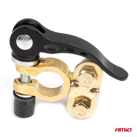 Amio - ΠΟΛΟΙ ΜΠΑΤΑΡΙΑΣ / ΑΚΡΟΔΕΚΤΕΣ 12V 40A ΜΕ ΣΦΙΓΚΤΗΡΕΣ & ΚΛΕΙΔΙ - 2 ΤΕΜ. (04059/AM)