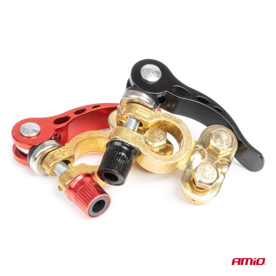 Amio - ΠΟΛΟΙ ΜΠΑΤΑΡΙΑΣ / ΑΚΡΟΔΕΚΤΕΣ 12V 40A ΜΕ ΣΦΙΓΚΤΗΡΕΣ & ΚΛΕΙΔΙ - 2 ΤΕΜ. (04059/AM)