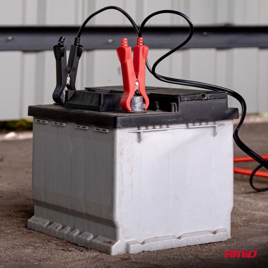 Amio - Φορτιστής Μπαταρίας Ψηφιακός PRO AGM GEL LiFePo4 (LFP) τάση λειτουργίας 12/24V ένταση ρεύματος 10A για Επιβατικά Αυτοκίνητα και Φορτηγά - 1 τεμ. (04228/AM)