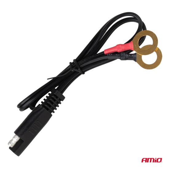 Amio - Φορτιστής Μπαταρίας Ψηφιακός PRO AGM GEL LiFePo4 (LFP) τάση λειτουργίας 12/24V ένταση ρεύματος 10A για Επιβατικά Αυτοκίνητα και Φορτηγά - 1 τεμ. (04228/AM)