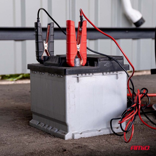 Amio - Ψηφιακός Φορτιστής Μπαταρίας και Συντηρητής τάση λειτουργίας 12/24V τύπου Pro για μπαταρίες AGM, GEL και LiFePo4 (LFP) με μέγιστη ένταση ρεύματος 16A για Επιβατικά Αυτοκίνητα και Σκάφη - 1 τεμ. (04529/AM)