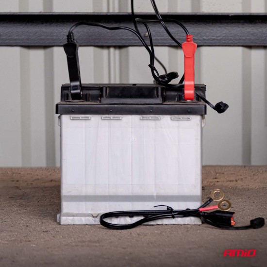 Amio - Φορτιστής Μπαταρίας Ψηφιακός PRO AGM GEL LiFePo4 (LFP) τάση λειτουργίας 6/12V ένταση ρεύματος 4A με γάντζο για Επιβατικά Αυτοκίνητα και Μοτοσυκλέτες - 1 τεμ. (04531/AM)