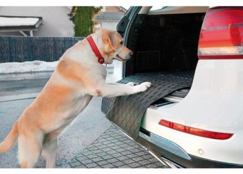 ΠΑΤΑΚΙ ΠΡΟΕΚΤΑΣΗ ΠΟΡΤΜΠΑΓΚΑΖ ΓΙΑ ΤΟΝ ΠΡΟΦΥΛΑΚΤΗΡΑ (S) 75x65cm ΛΑΣΤΙΧΟ EXTENSION