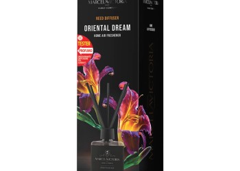 ΑΡΩΜΑΤΙΚΟ ΧΩΡΟΥ 100ml ΜΕ STICKS - ORIENTAL DREAM