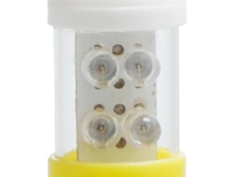 ΛΑΜΠΑΚΙΑ ΠΛΑΦΟΝΙΕΡΑΣ C5W/C10W 12V 0,49W SV8,5 36mm LED 4xFlux 3mm ΚΙΤΡΙΝΟ 1ΤΕΜ.