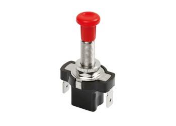 ΔΙΑΚΟΠΤΗΣ 12/24V