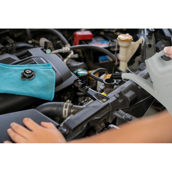 ΔΟΧΕΙΟ ΜΕΤΑΦΟΡΑΣ ΥΓΡΩΝ ΚΑΥΣΙΜΩΝ ΠΛΑΣΤΙΚΟ HDPE ΓΚΡΙ 6L (ΠΟΤΙΣΤΗΡΙ) LAMPA - 1 ΤΕΜ.