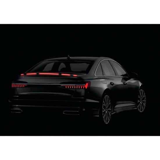 ΤΑΙΝΙΑ ΣΙΛΙΚΟΝΗΣ LED ΚΟΚΚΙΝΟ ΦΩΣ CARBON-LOOK ΠΟΡΤ ΜΠΑΓΚΑΖ  SPOILER LED LIGHT 12V IP67 25χ10mm 120cm LAMPA -  1 Τεμ.