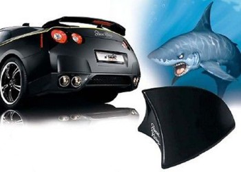 ΚΕΡΑΙΑ ΚΑΡΧΑΡΙΑΣ ΜΙΚΡΗ ΜΑΥΡΗ