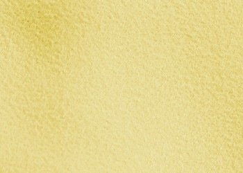 ΠΑΝΙ ΓΙΑ ΓΥΑΛΙΣΜΑ/ΣΚΟΥΠΙΣΜΑ ΜΕ ΜΙΚΡΟΙΝΕΣ (MICROFIBRE) ΜΕ ΥΦΗ ΔΕΡΜΑΤΟΣ CHAMOIS 40x40cm