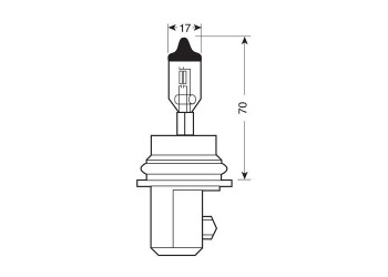 HB5 12V 60/55W PX29t
