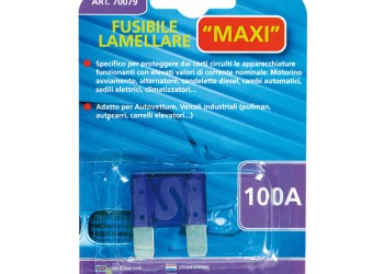 ΑΣΦΑΛΕΙΑ ΜΑΧΙ 100Α