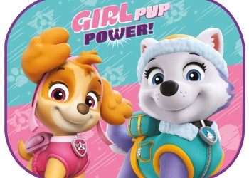 Amio - ΗΛΙΟΠΡΟΣΤΑΣΙΕΣ ΠΛΑΙΝΕΣ PAW PATROL GIRL ΜΕ ΒΕΝΤΟΥΖΑ (44x35cm) - 2 ΤΕΜ. (S34023/AM)