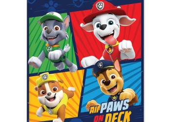 Amio - ΚΟΥΡΤΙΝΑΚΙ ΗΛΙΟΠΡΟΣΤΑΣΙΑΣ ΣΕ ΡΟΛΟ PAW PATROL BOY 36x45cm ΓΙΑ ΠΛΑΙΝΟ ΤΖΑΜΙ/ΠΙΣΩ ΠΑΡΜΠΡΙΖ - 1 ΤΕΜ. (S34024/AM)