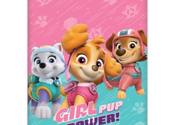 Amio - ΚΟΥΡΤΙΝΑΚΙ ΗΛΙΟΠΡΟΣΤΑΣΙΑΣ ΣΕ ΡΟΛΟ PAW PATROL GIRL 36x45cm ΓΙΑ ΠΛΑΙΝΟ ΤΖΑΜΙ/ΠΙΣΩ ΠΑΡΜΠΡΙΖ - 1 ΤΕΜ. (S34025/AM)