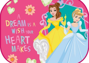 Amio - ΗΛΙΟΠΡΟΣΤΑΣΙΕΣ ΠΛΑΙΝΕΣ PRINCESS ΜΕ ΒΕΝΤΟΥΖΑ 44x35cm - 2 Τεμ. (S59333/AM)