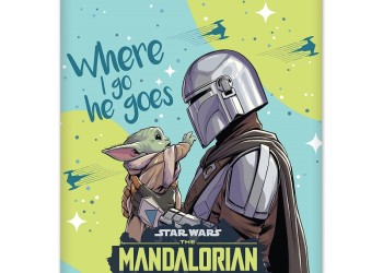 Amio - ΚΟΥΡΤΙΝΑΚΙ ΗΛΙΟΠΡΟΣΤΑΣΙΑΣ ΣΕ ΡΟΛΟ THE MANDALORIAN 36x45cm ΓΙΑ ΠΛΑΙΝΟ ΤΖΑΜΙ/ΠΙΣΩ ΠΑΡΜΠΡΙΖ - 1 Τεμ. (S59383/AM)