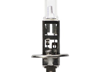 H1 12V 55W P14,5s STANDARD ΑΛΟΓΟΝΟΥ ΚΟΥΤΙ 1ΤΕΜ.