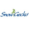 Snow Gecko