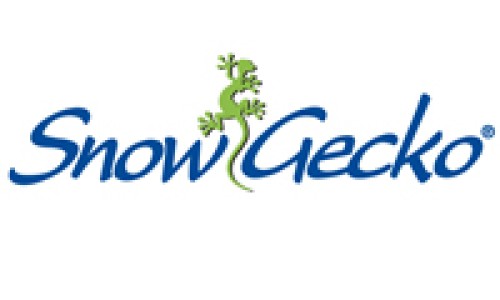 Snow Gecko